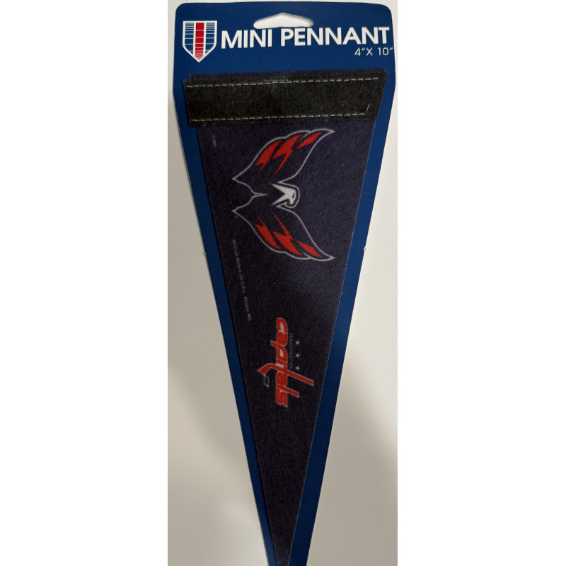 WSH 4x10 mini pennant